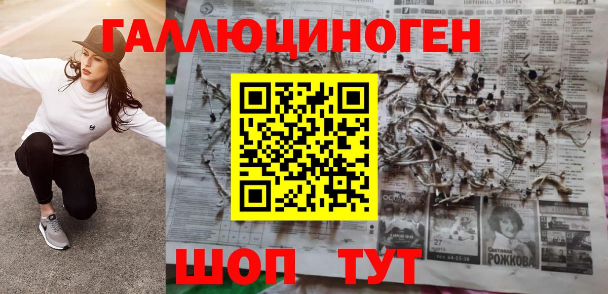 Псилоцибиновые грибы GOLDEN TEACHER  Вход с VPN  Владикавказ 