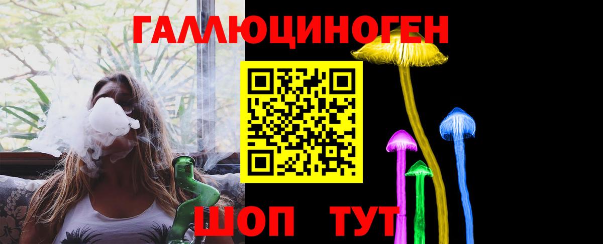 Галлюциногенные грибы Psilocybe Владикавказ